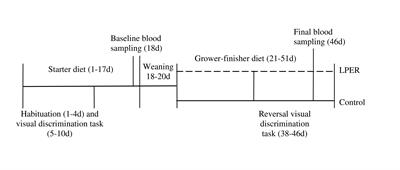 The Effect of Low Protein Energy-Rich Diets on Plasma Hepatic Markers, Hepatic Damage, and Discrimination Reversal Learning in Young Female Chicks